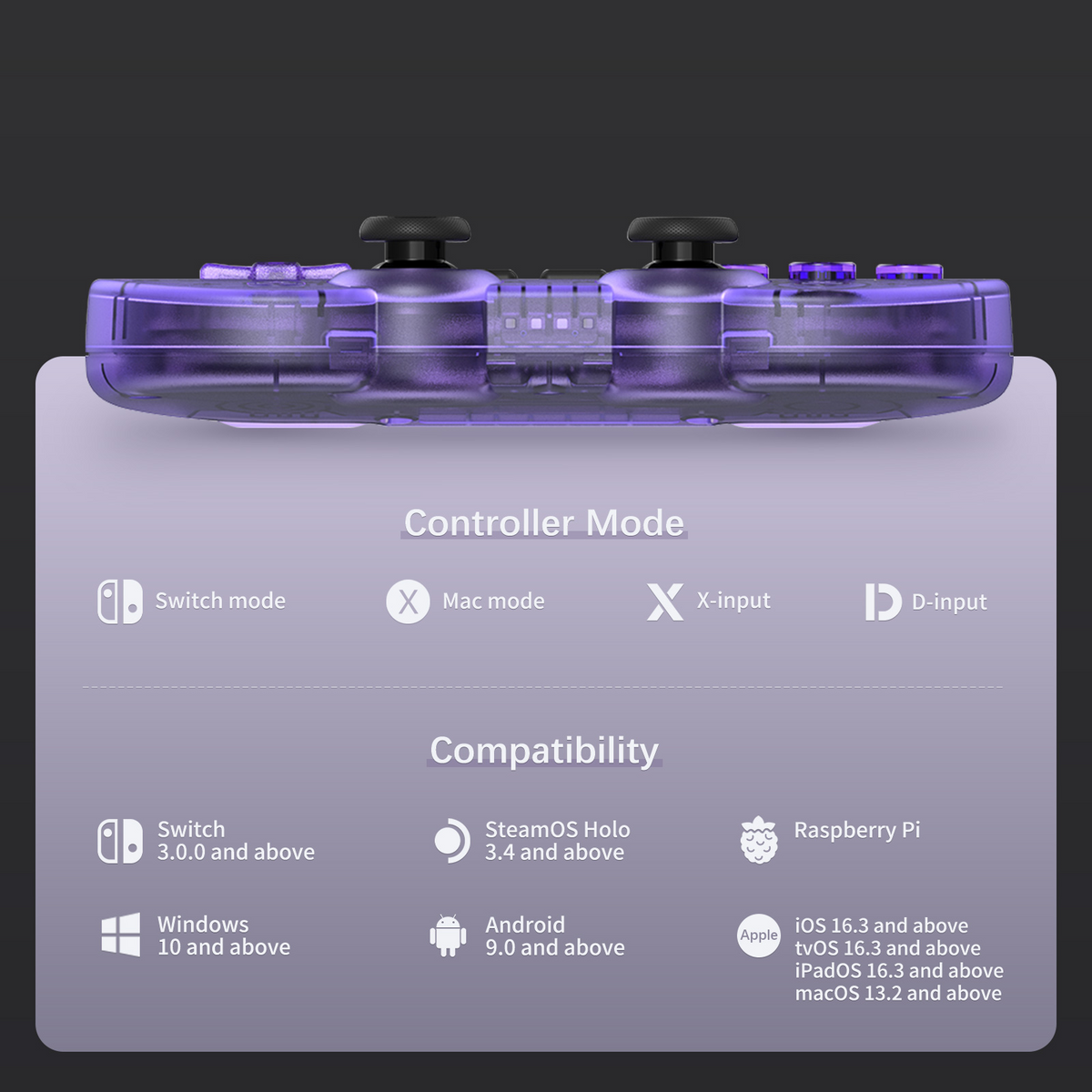 8BitDo Sn30 Pro Bluetooth Gamepad Crystal Purple Underside
